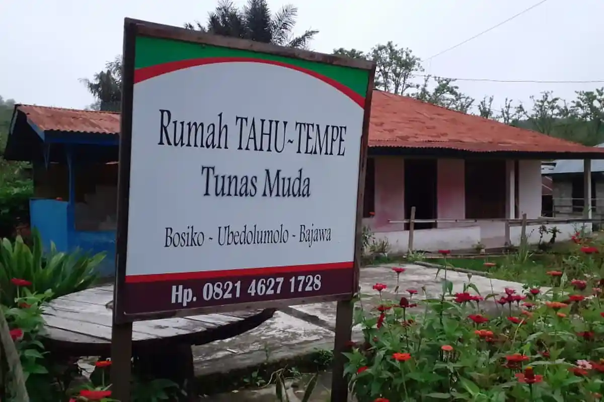 Perajin Tahu dan Tempe Sebut Harga Kedelai di Ngada Turun