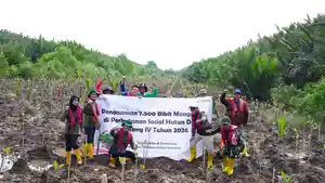 Pertamina-Patra-Niaga-Kilang-Plaju-Project-RP-Sumatera-Tanam-7500-Bibit-Pelestarian-Mangrove.jpg