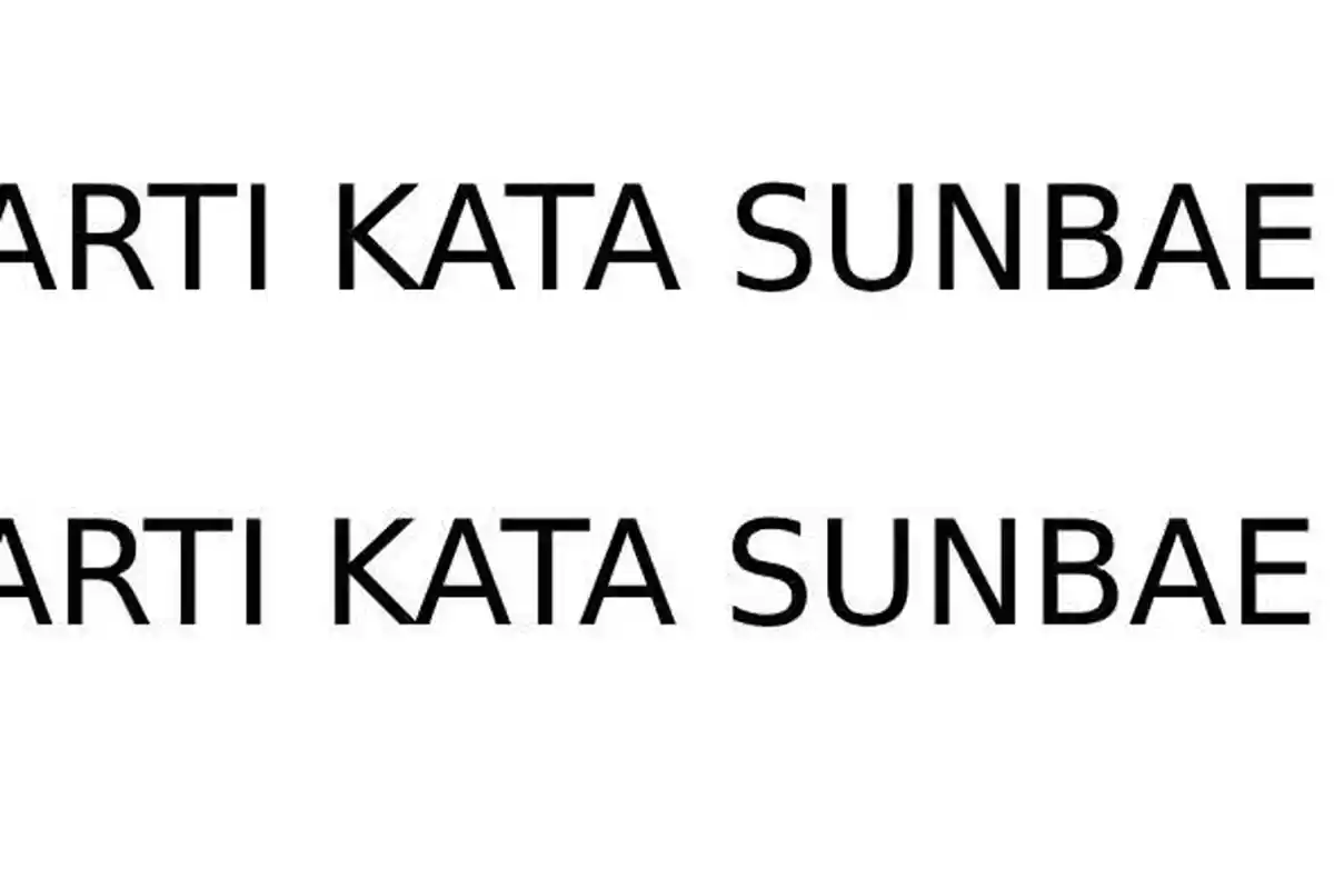 Cek Arti Kata Sunbae, Istilah yang Viral TikTok, Pecinta Drakor Wajib Tahu, Berbeda dengan Sunbaenim