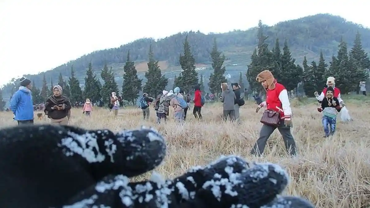 Bagaimana Embun Es di Dataran Tinggi Dieng Bisa Terbentuk? Ini Penjelasan Ilmiahnya