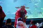 Imlek 2577 di Bawah Laut! Aquarium Indonesia Pangandaran Hadirkan Pesona Tahun Kuda yang Edukatif