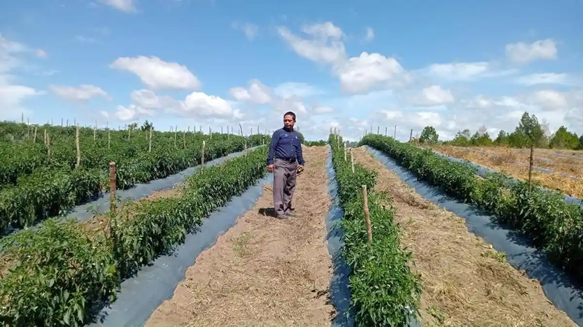 Politeknik WBI Membuat UNit Pengolahan Pupuk Hayati di Desa Siponjot, Kabupaten Humbahas