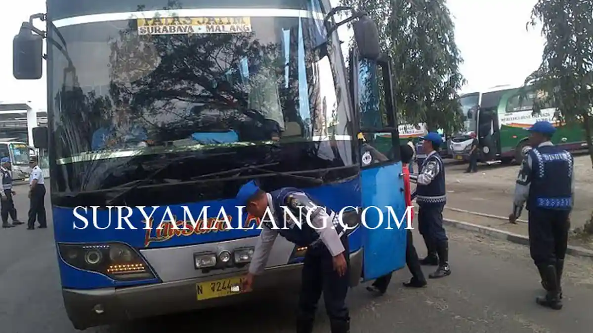 Trayeknya Surabaya-Jakarta, Bus Lorena Angkut Peumpang Surabaya-Malang