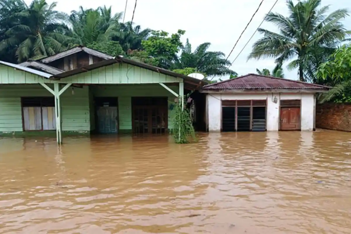 Banjir Besar di Kampar, Peremajaan Sawit di Perusahaan Raksasa Ini Dituding Jadi Penyebab