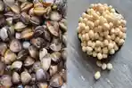 Deretan Makanan Khas Ketapang yang Wajib Dicoba Wisatawan