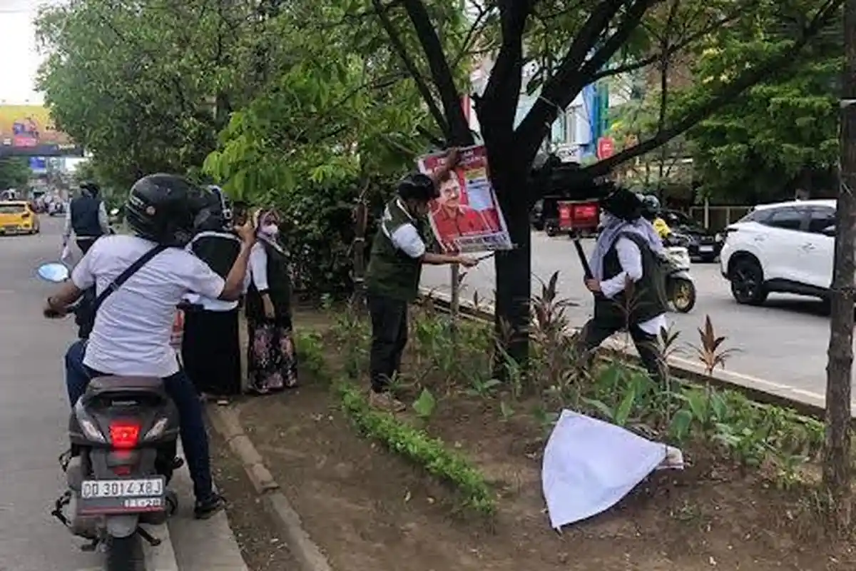 DLH Makassar Marah Besar! Turunkan Semua APK Caleg yang Digantung di Pohon