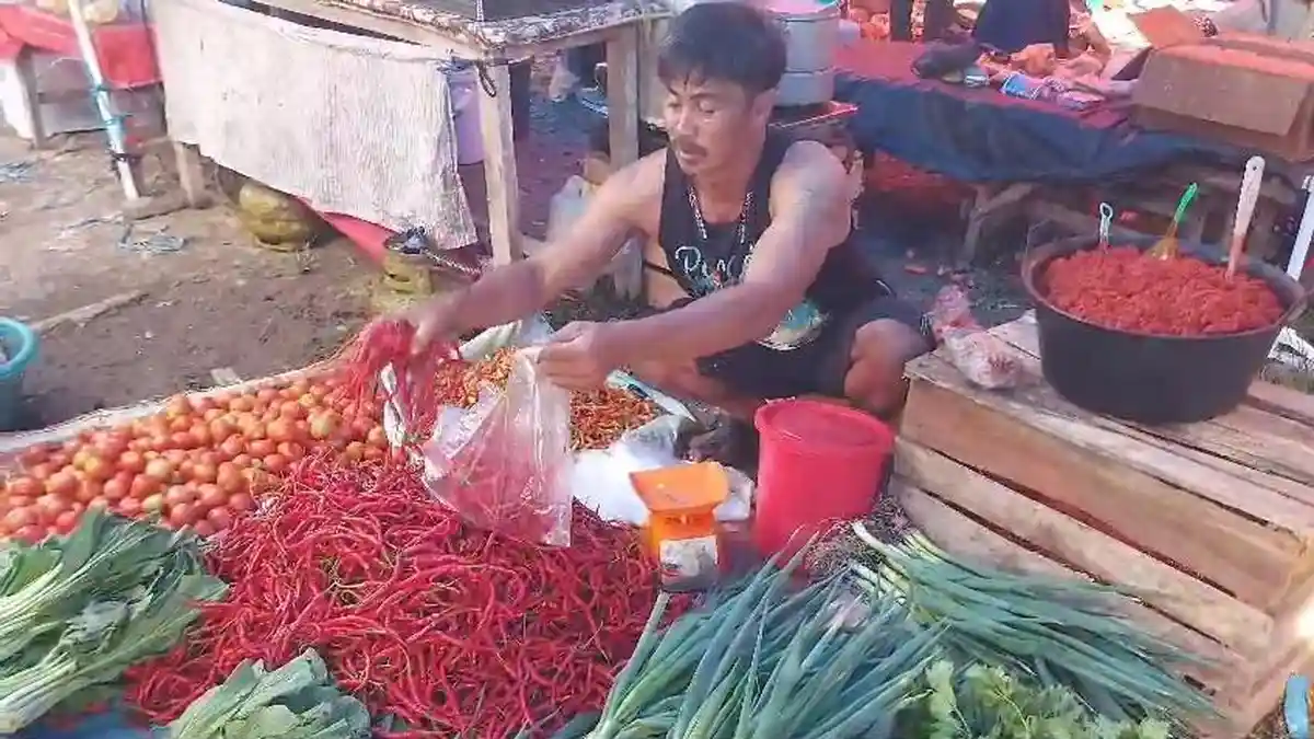 Cuaca ekstrem, Harga Cabai di Bengkulu Tengah Meningkat, Tembus Rp 80 Ribu per Kilogram