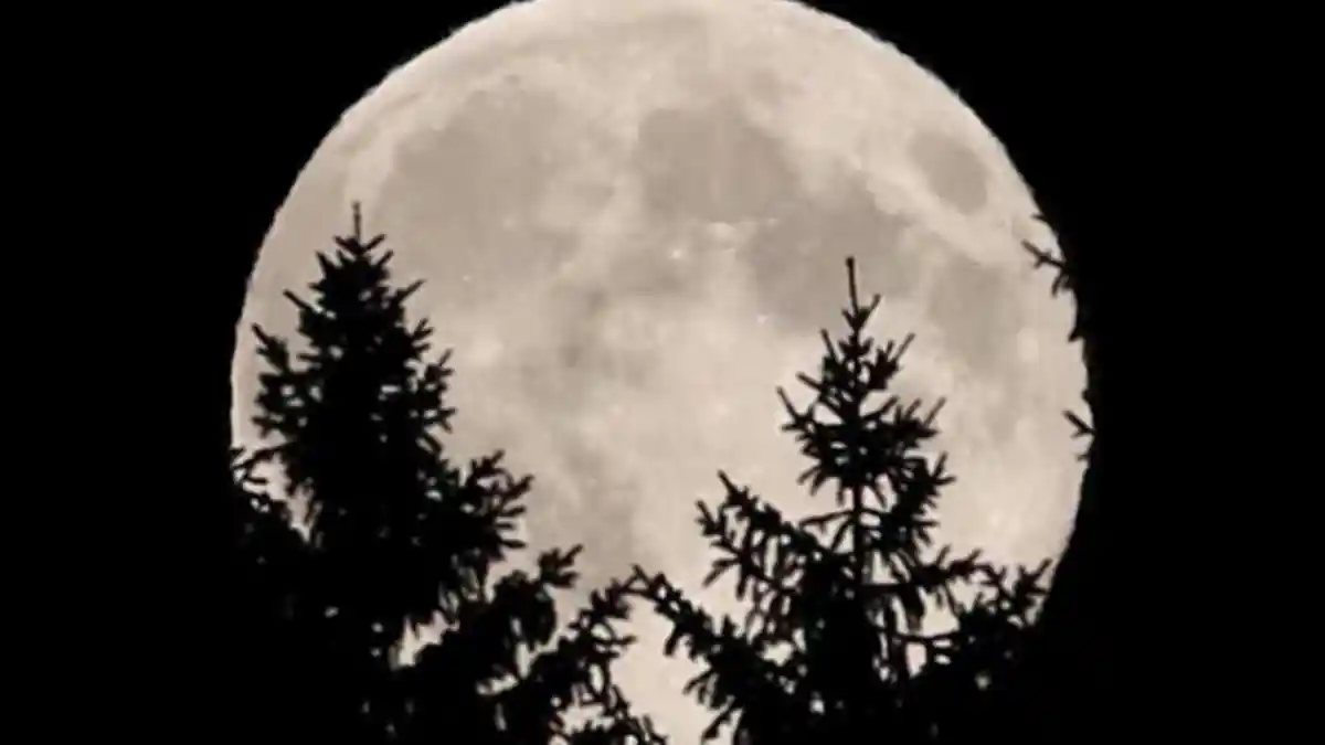 Fenomena Supermoon Tahap Dua Akan Terjadi Sore Ini, Bulan Lebih Besar dan Cerlang Dari Purnama