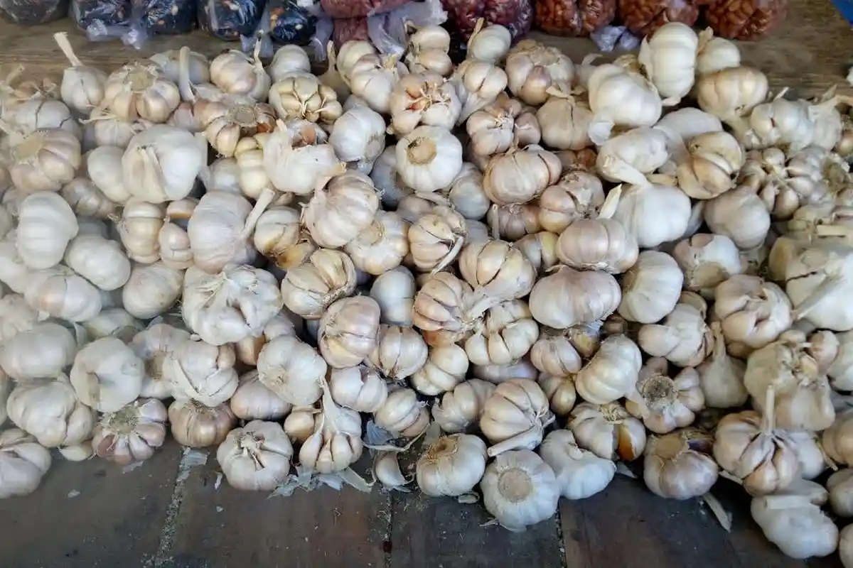 Di NTT- Harga Bawang Putih Meroket, Tembus Rp 100 ribu Per Kilogram