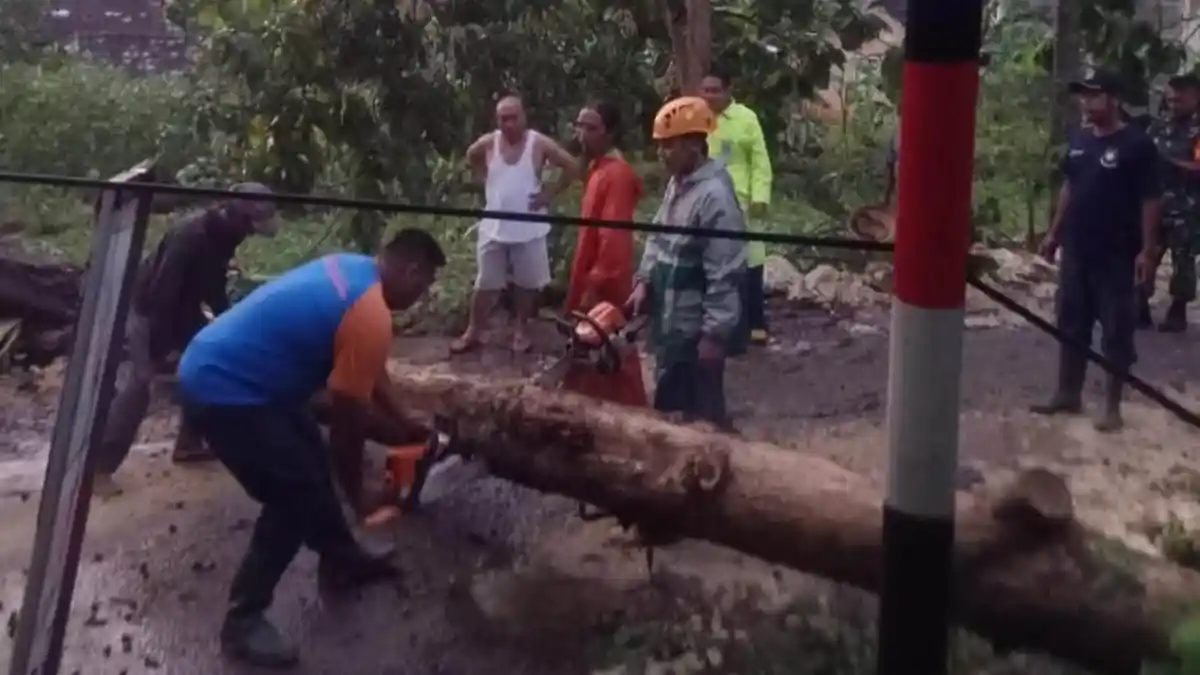 Dampak Hujan Angin di Gunungkidul Meluas, Kerugian Capai Puluhan Juta Rupiah