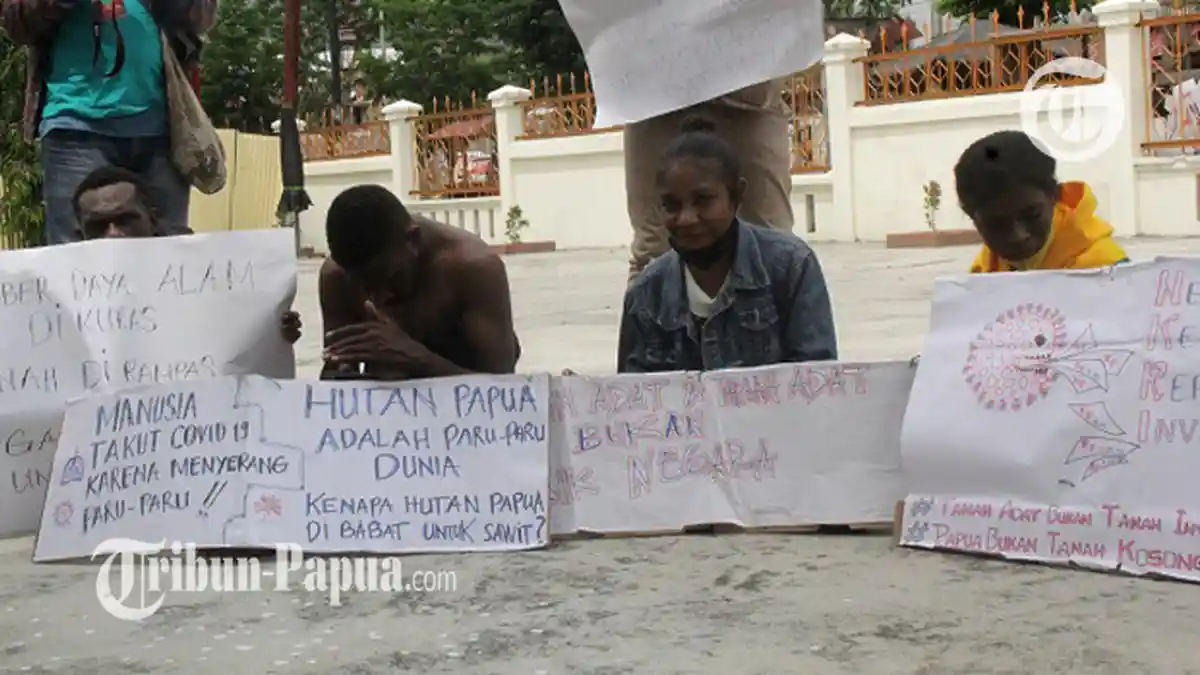 Hutan Papua adalah Paru-paru Dunia, Kenapa Dibabat Untuk Sawit?