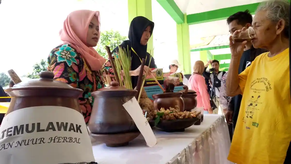 November Mendatang, UGM Gelar Festival Jamu di Royal Ambarukmo
