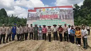 lahan-jagung-polda.jpg