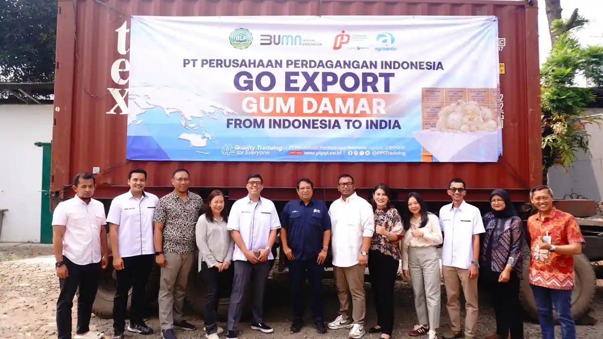 Getah Damar Produksi Lampung Tembus Pasar India