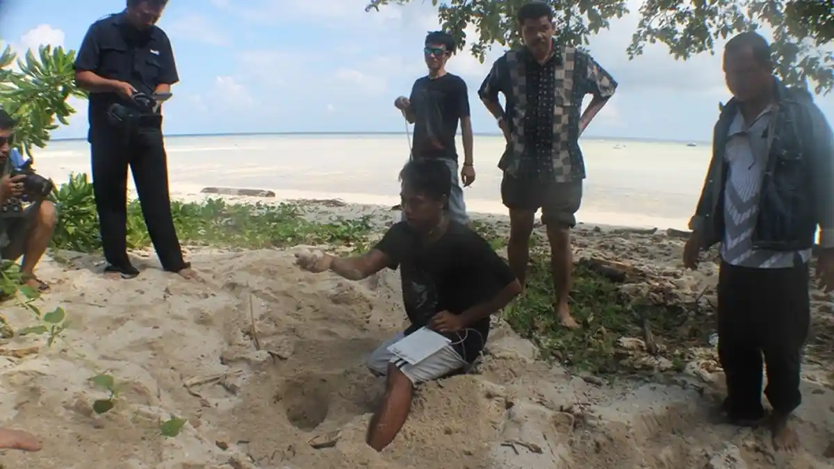 Pencuri Telur Penyu Bawa Parang Ancam Petugas BKSDA di Kepulauan Derawan