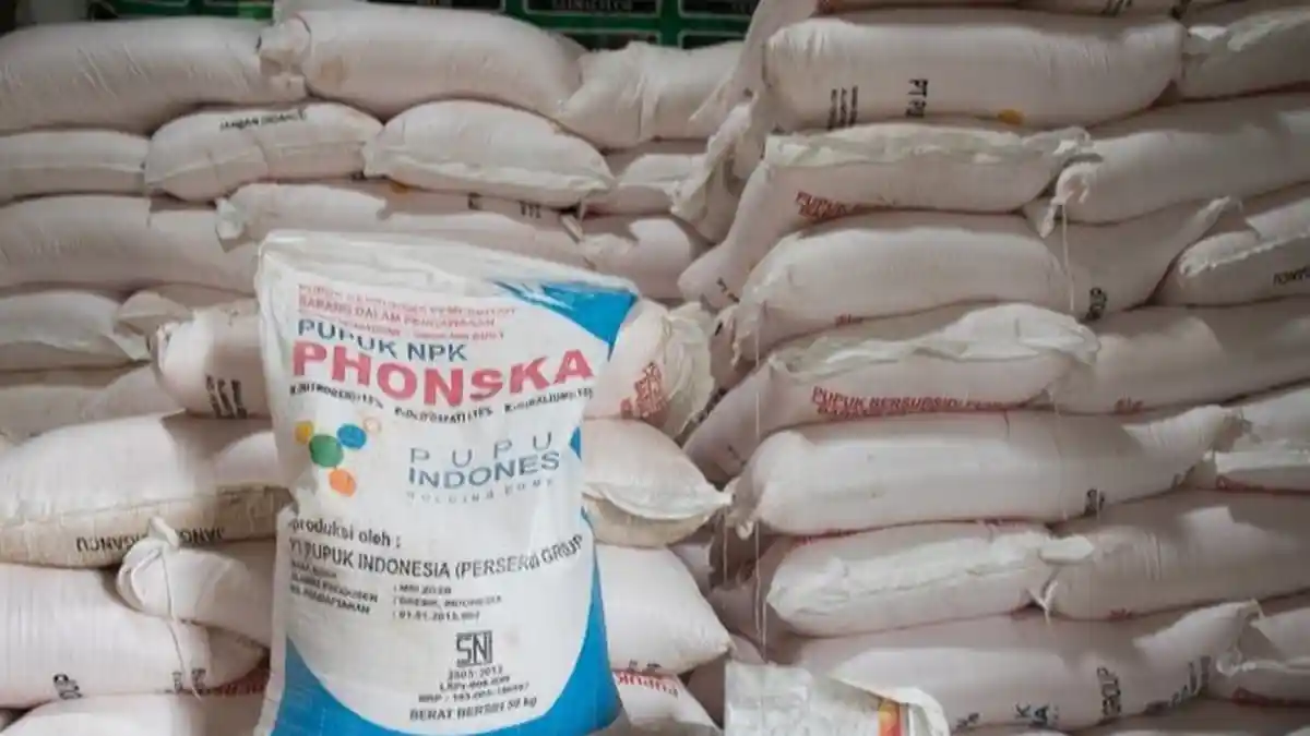 Realisasi Penyaluran Pupuk Bersubsidi di Sumut Sudah Capai 50 Persen