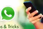 whatsapp-terkini-tips-dan-trik-kirim-foto-berkualitas-resolusi-tinggi-dan-gak-blur-cara-praktis.jpg