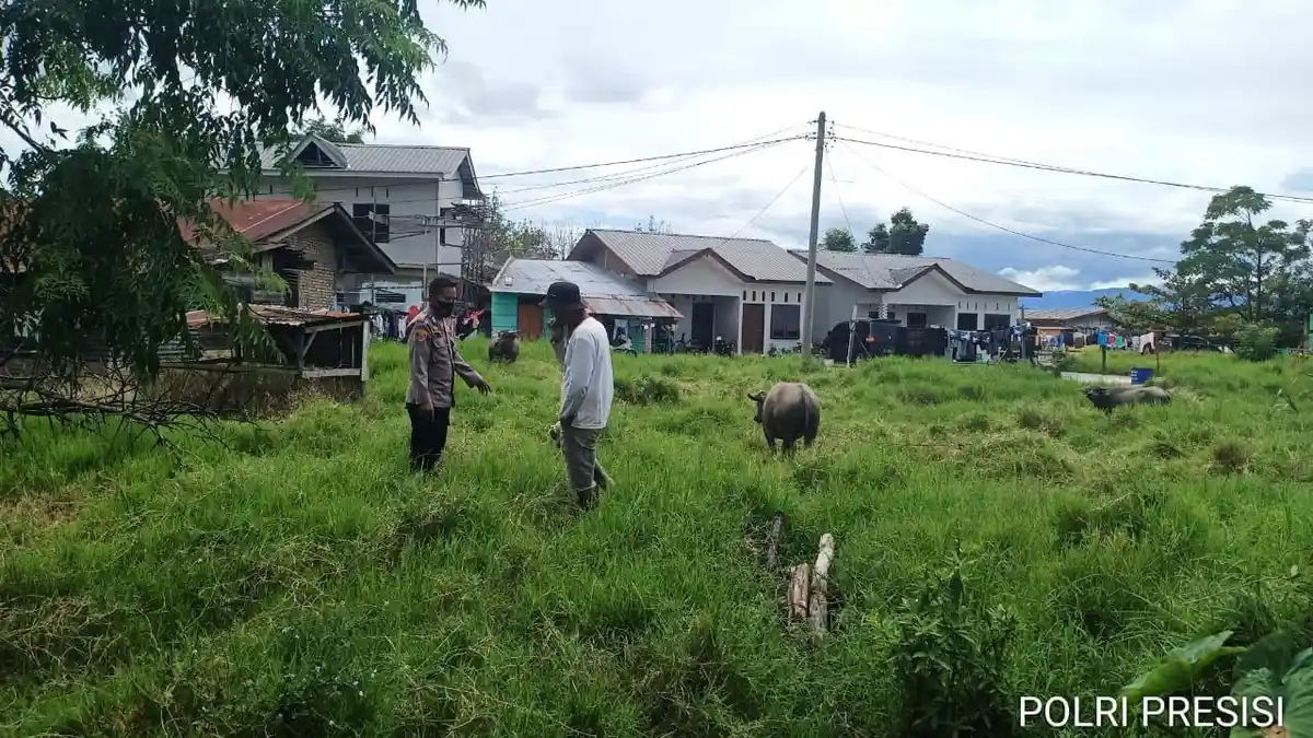 Binmas Polsek Balige Cek Hewan Ternak Warga Cegah Penyebaran PMK