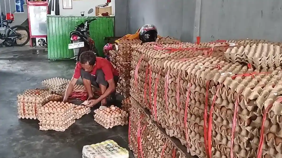 Harga Telur di Lubuklinggau Melambung Tinggi, Dampak Banyak Dikirim ke Bencana Sumatera