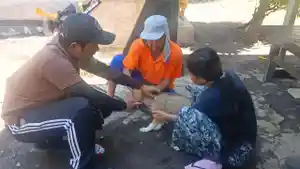 Target-80-Persen-HPR-Tervaksinasi-Rabies-Di-Jembrana-Bali-Sehari-Vaksin-200-Ekor-Hewan.jpg
