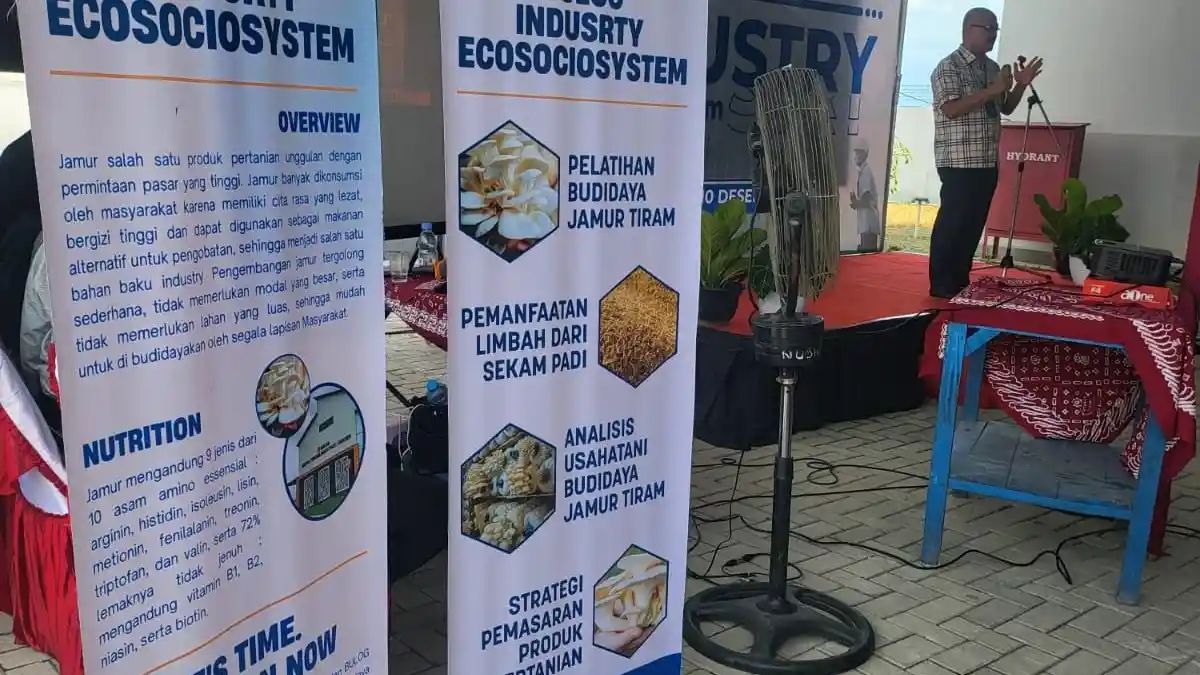 TJSL Perum Bulog Mengembangkan Industry Ecosocio-system di Sentra Penggilingan Padi/MRMP Sragen