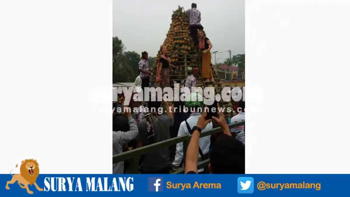 Pengunjung Berebut Nanas Mahasiswi Bule di Festival Gunung Kelud