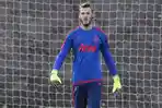 de-gea11_20160116_133307.jpg