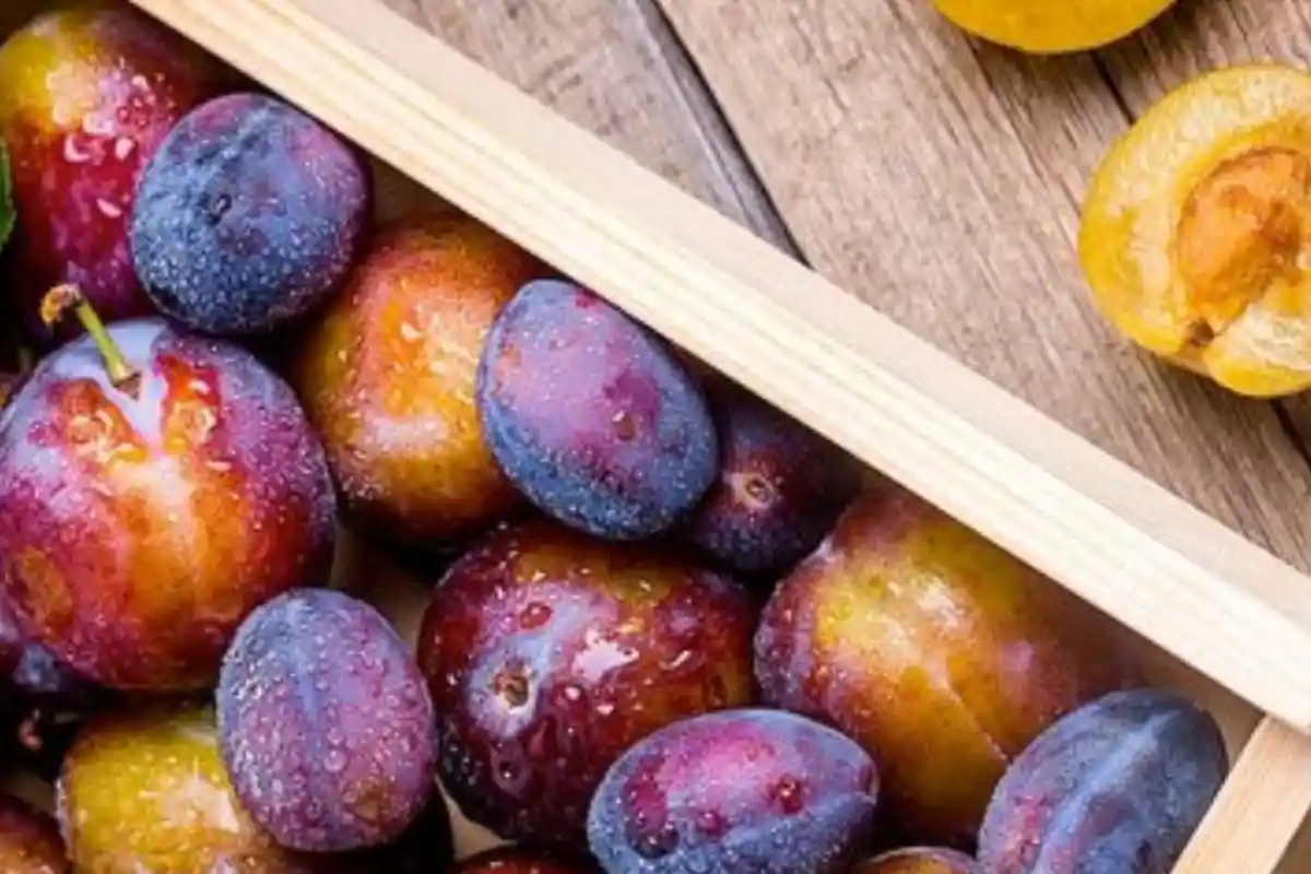 Buah Plum Kaya akan Antioksidan yang Baik untuk Kesehatan, Ini Nilai gizinya