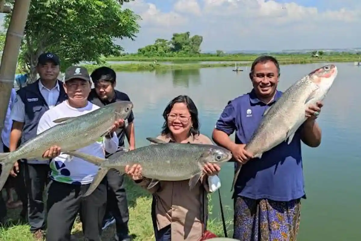 Bandeng Raksasa Kembali Bersaing di Akhir Ramadhan, Didominasi Peserta Dari 2 Kecamatan di Gresik
