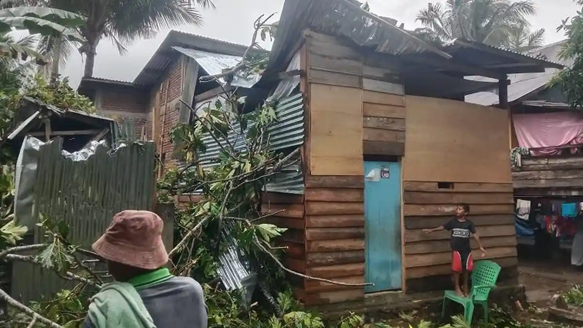 Pohon Tumbang Timpa 2 Rumah Warga di Mirring Polman Rusak Berat