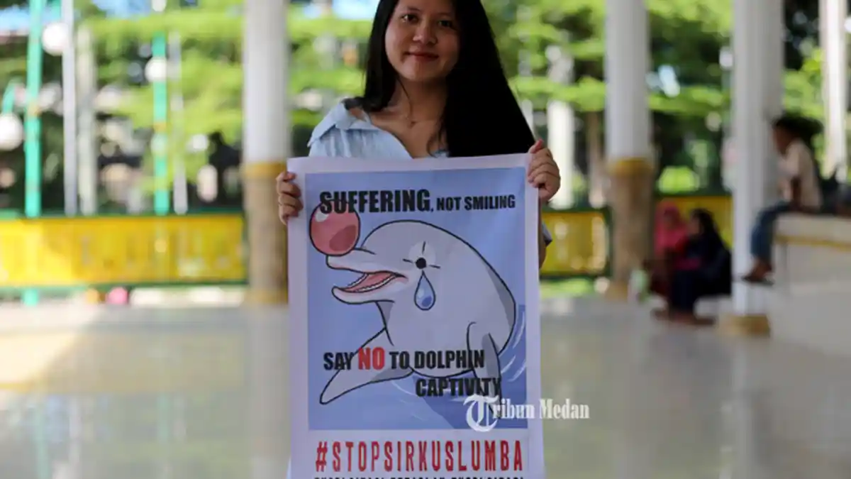 Walhi Sumut Minta Izin Pertunjukan Lumba-lumba di Siantar Dicabut