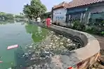 Kondisi-Situ-Rawa-Besar-penuh-sampah13.jpg