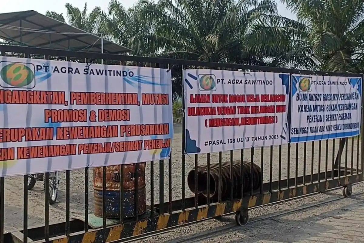 PT Agra Sawitindo Pasang Spanduk di Pagar, Sebut Karyawan Mogok Kerja Termasuk Mangkir
