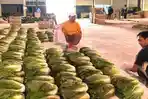 Pedagang-mengemas-sayur-sawi-putih-di-Pasar-Sayur-Kota-Batu-sebelum-dikirim-ke-Kalimantan.jpg