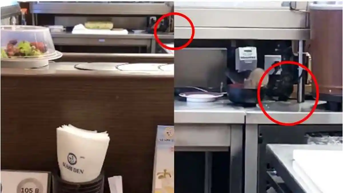 Gara-gara Video yang Diambil Konsumen ini, Manajemen Restoran Sushi Terkenal Minta Maaf