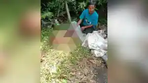 Jasad-laki-laki-ditemukan-dalam-kondisi-termutilasi-di-Jalan-Raya-Cibalong.jpg