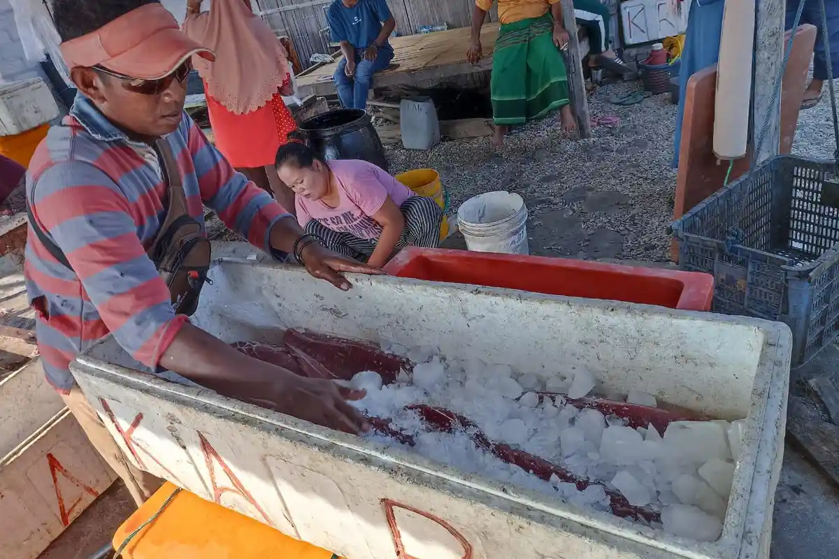 Nelayan Pulau Pemana Butuh Pabrik Es dan Cold Storage