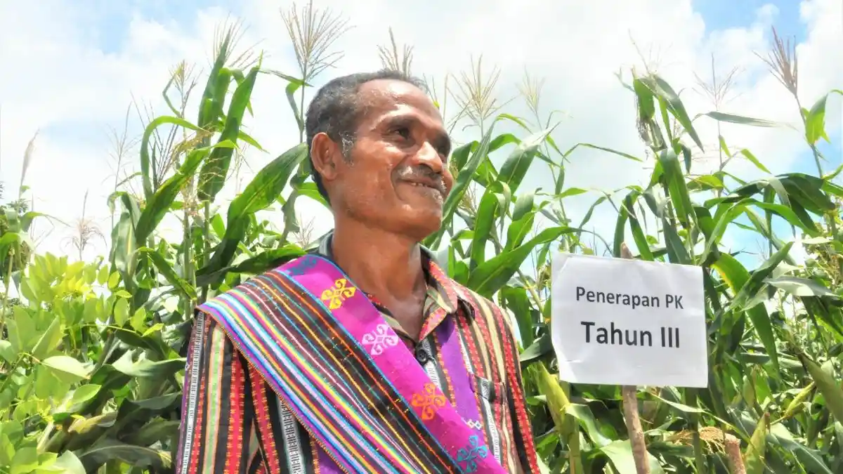 Pertanian Konservasi Menjadikan Petani Kecil Menjadi Sejahtera