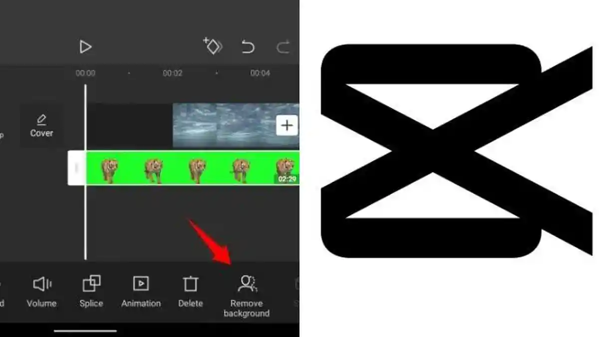 Cara Edit Video di Aplikasi Edit Video CapCut, Bisa Bikin Efek Transisi dan Green Screen