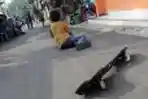 Bermain Skateboard dan Scooter Pedal