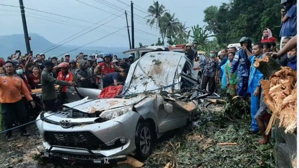 Nahas, Avanza Ini Langsung Gepeng Tertimpa Pohon Randu Saat Melintas di Hujan Lebat, 4 Meninggal
