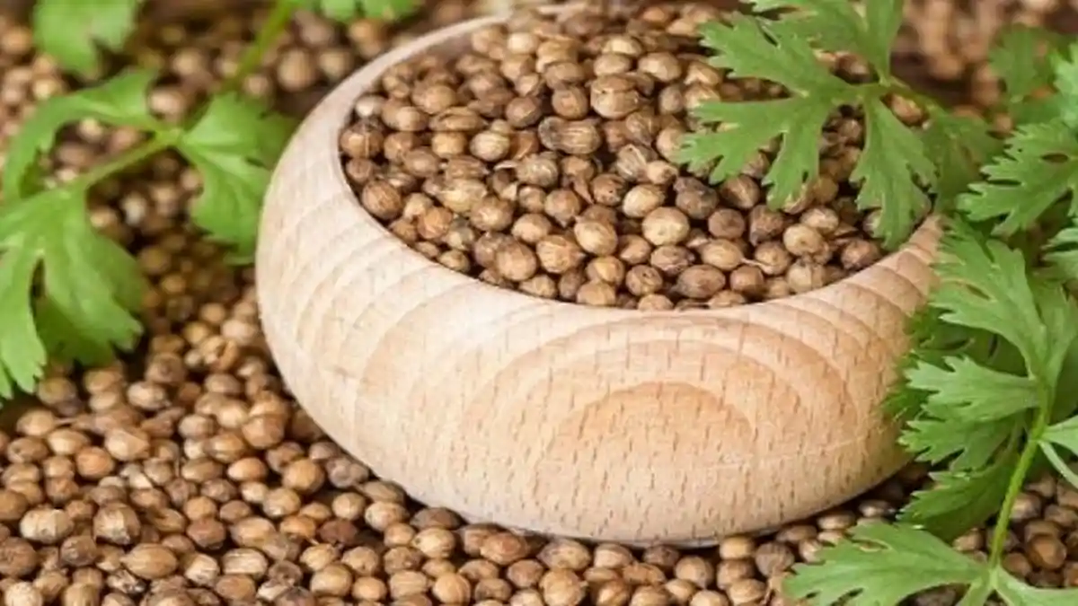 Manfaat Biji dan Daun Ketumbar untuk Kesehatan: Bantu Jaga Kesehatan Pencernaan Hingga Mata