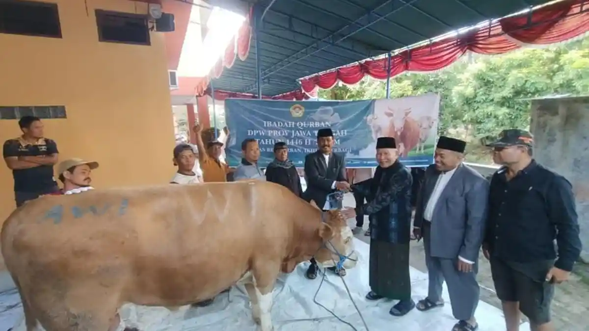 Semangat Berkurban, Tahun Ini LDII Jawa Tengah Sembelih 5.855 Sapi dan 7.600 Kambing