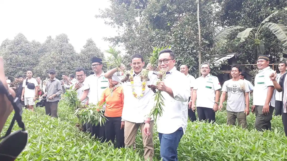 Demi Ketahanan Pangan, Sandiaga Teken MoU dengan Laskaru