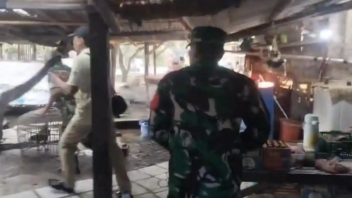 Momen TNI Gerebek Sabung Ayam di Lebak Wangi Serang, Pelaku Kocar-Kacir 