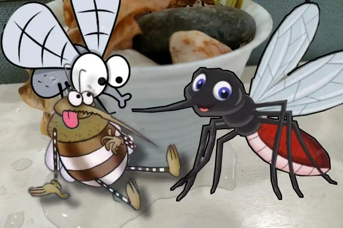 27 Kasus DBD di Kaltim Berujung Wafat, Dinkes Paser Tingkatkan Penyelidikan Epidemiologi