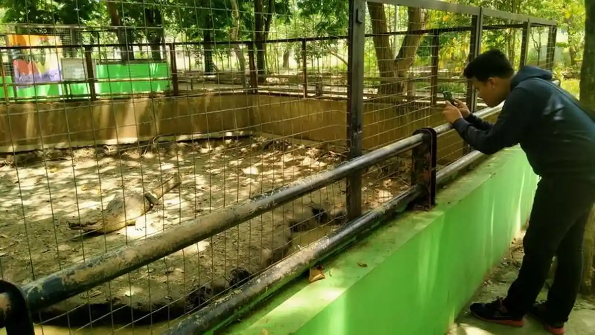 Koleksi Satwa Semarang Zoo Bertambah, Kini Punya Kapibara dan Sitatunga