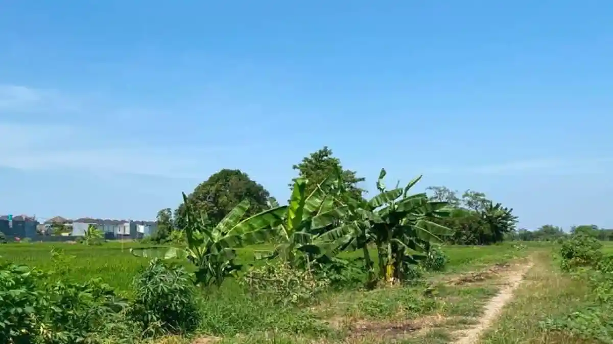 Ramalan Cuaca Jatim Rabu 7 Oktober 2026, Surabaya Malang Berawan, Batu Berpotensi Hujan Ringan