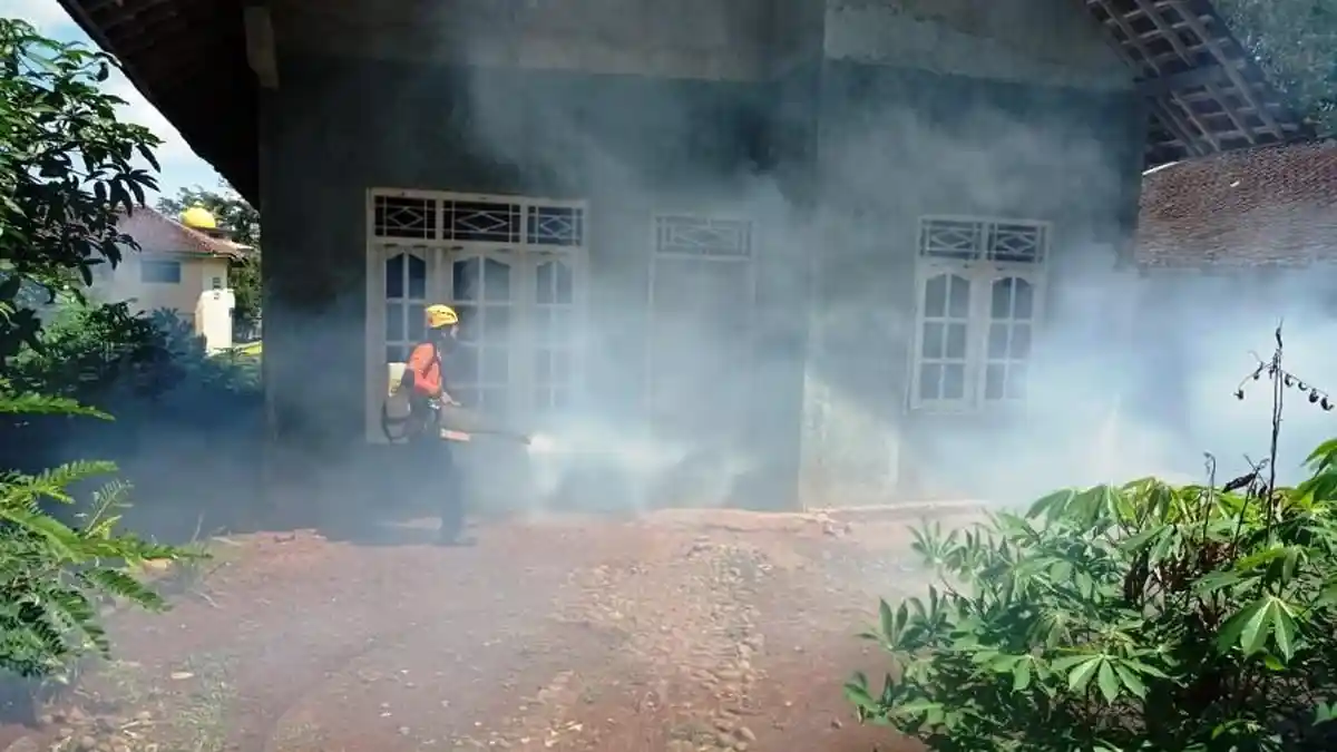 Ada 185 Kasus DBD di Karanganyar, 1 Orang Meninggal Dunia