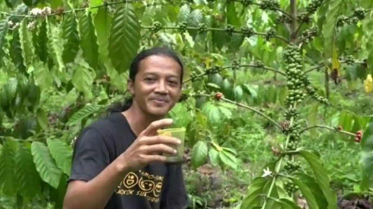 Muhammad Iman Sukses Hasilkan Kopi Sendiri di Bintan